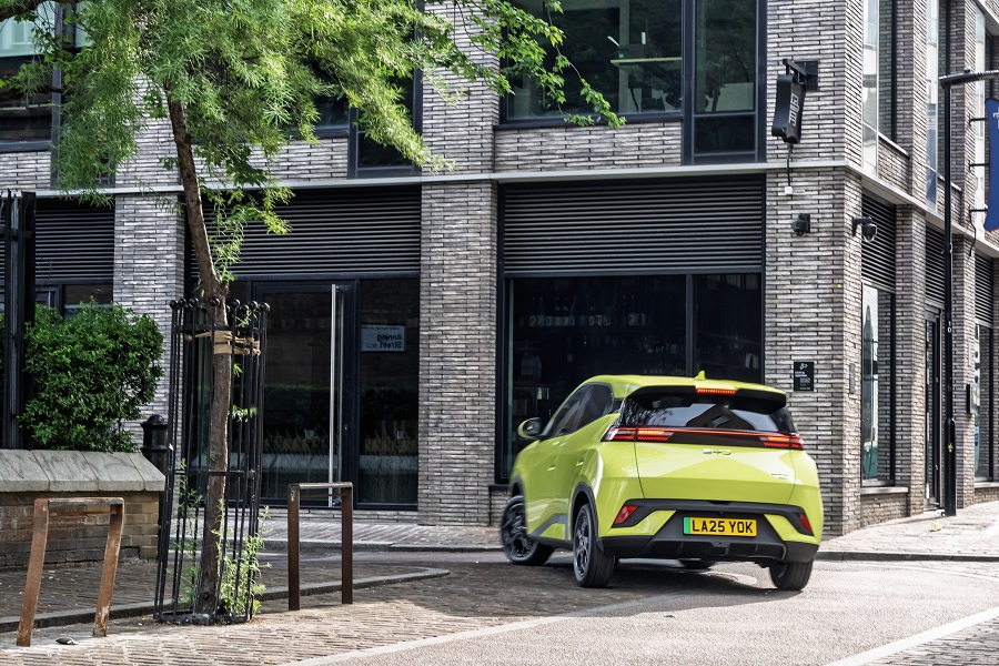 BYD Dolphin Surf  10