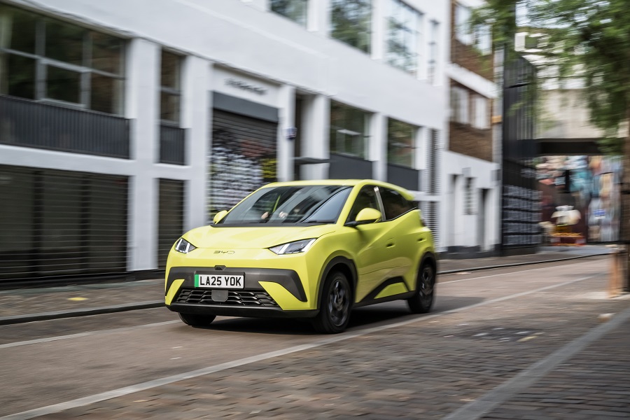 BYD Dolphin Surf  11