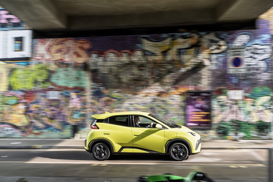 BYD Dolphin Surf  12