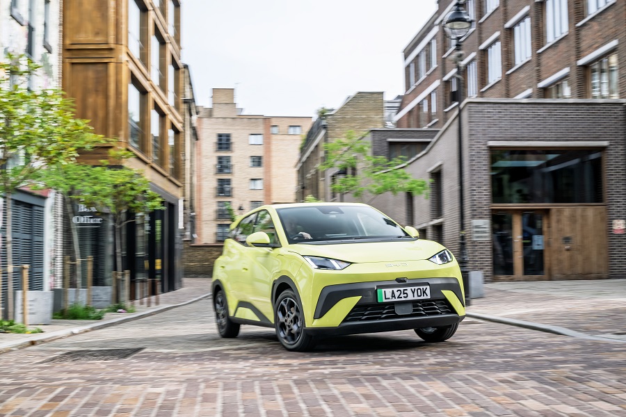 BYD Dolphin Surf  13