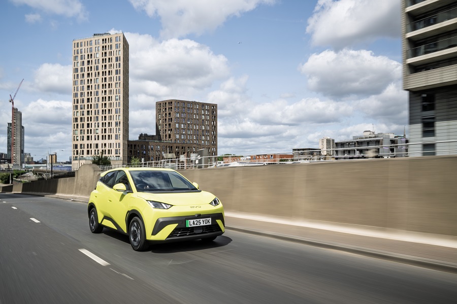 BYD Dolphin Surf  14