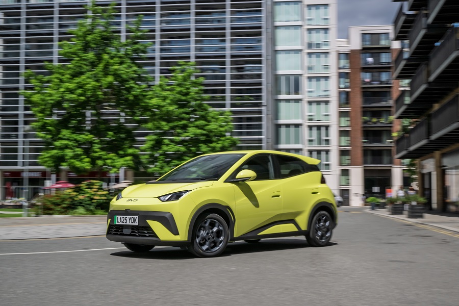 BYD Dolphin Surf  15