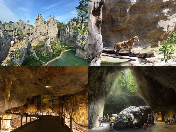 Rainforest-Wild-Asia