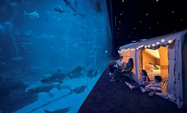 5. Ocean Dream - Singapore Oceanarium