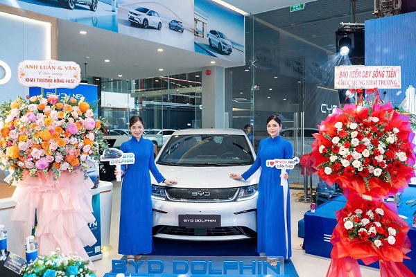 BYD B