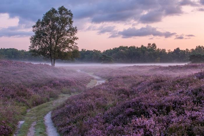 Drenthe Hà Lan