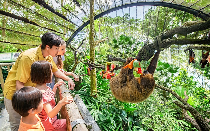 Khám phá về thế giới động vật hoang dã Singapore Zoo