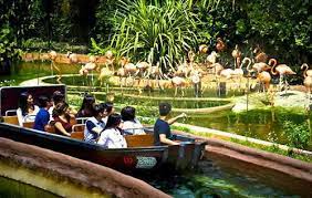 Singapore Night Safari.jpg7