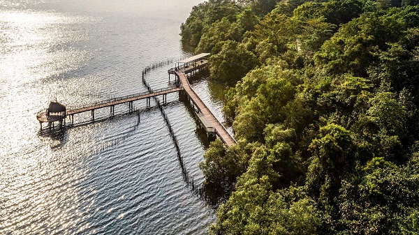 Vẻ đẹp an yên tuyệt đối