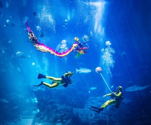 5. Waves-Of-Harmony-Oceanarium