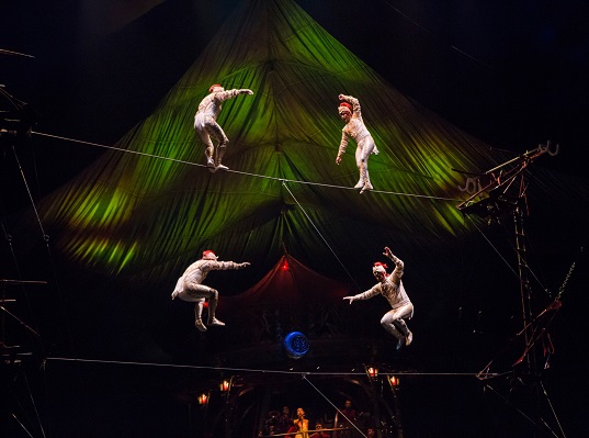 6. Cirque du Soleil