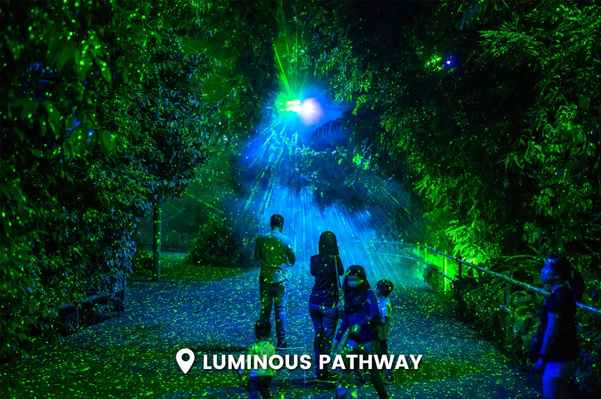 Rainforest Lumina - G-luminous pathway